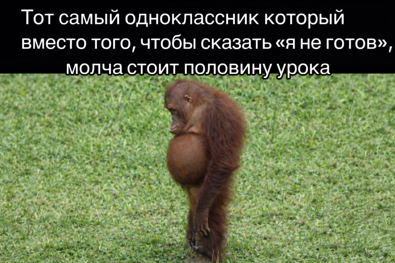 Подборка мемов