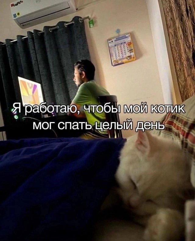 Подборка мемов