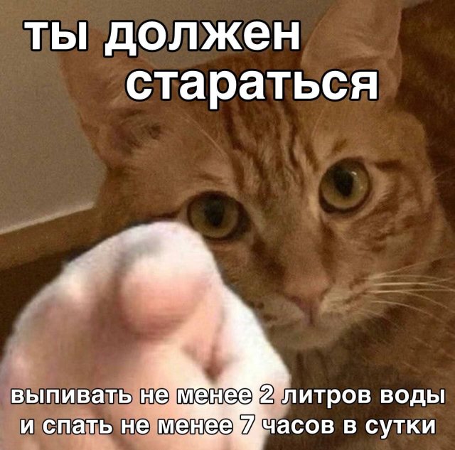 Подборка мемов