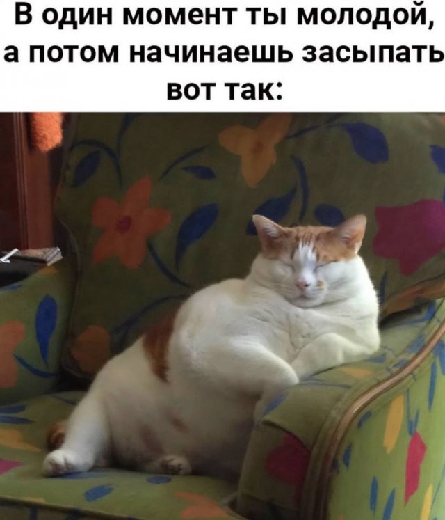 Подборка мемов