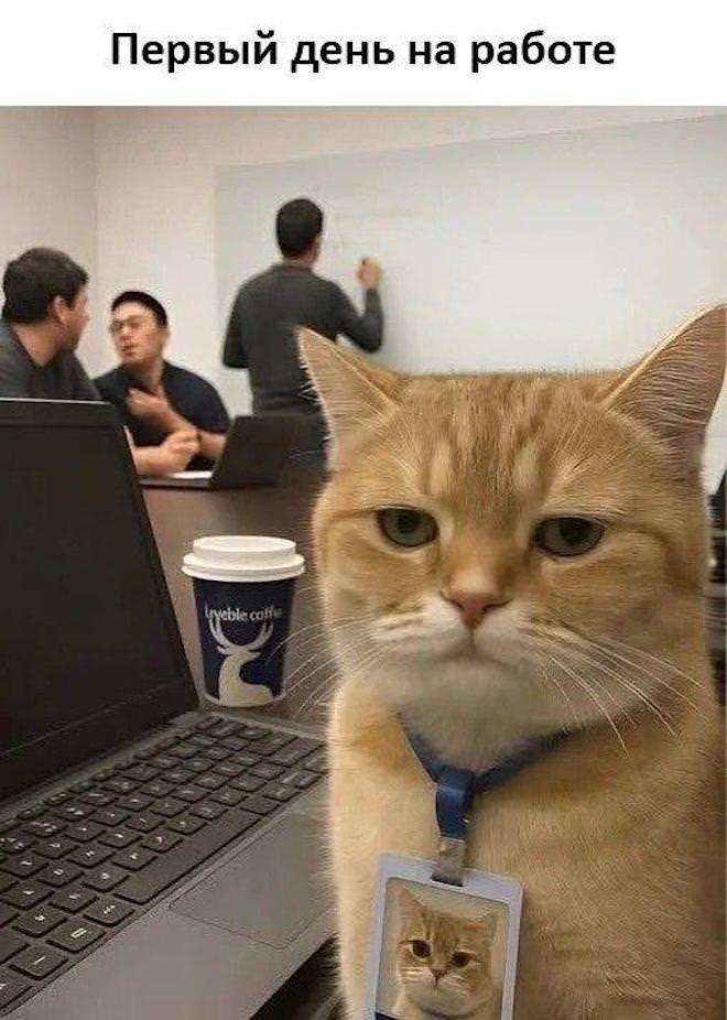 Подборка мемов