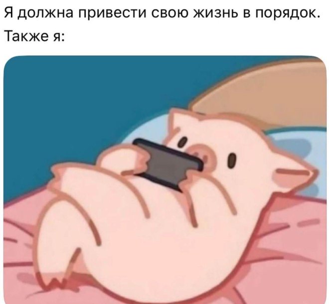 Подборка мемов