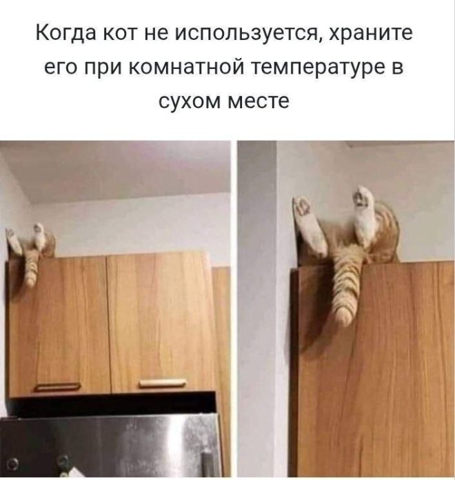 Подборка мемов