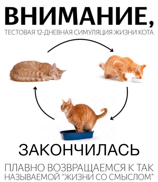 Подборка мемов