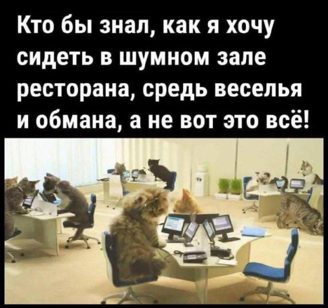 Подборка мемов