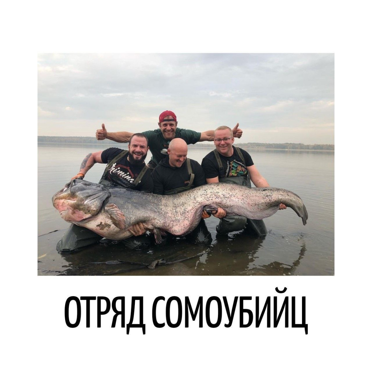 Подборка мемов