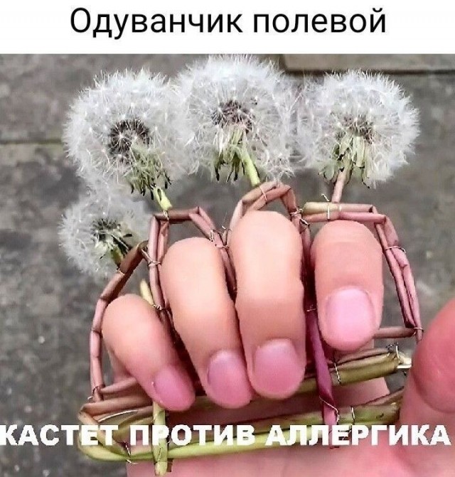 Подборка мемов