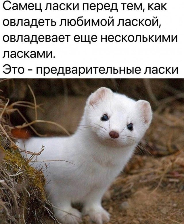 Подборка мемов