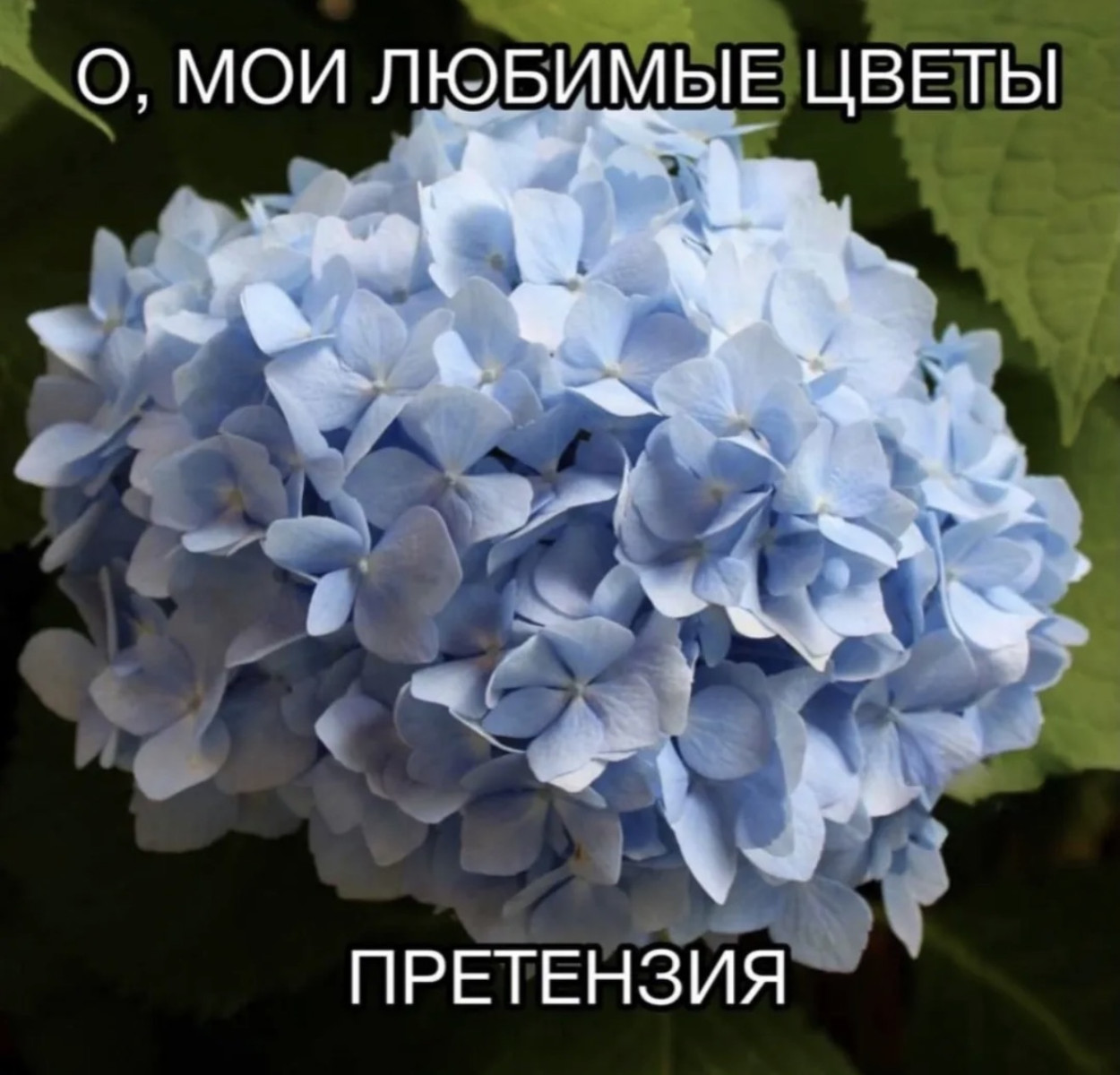 Подборка мемов