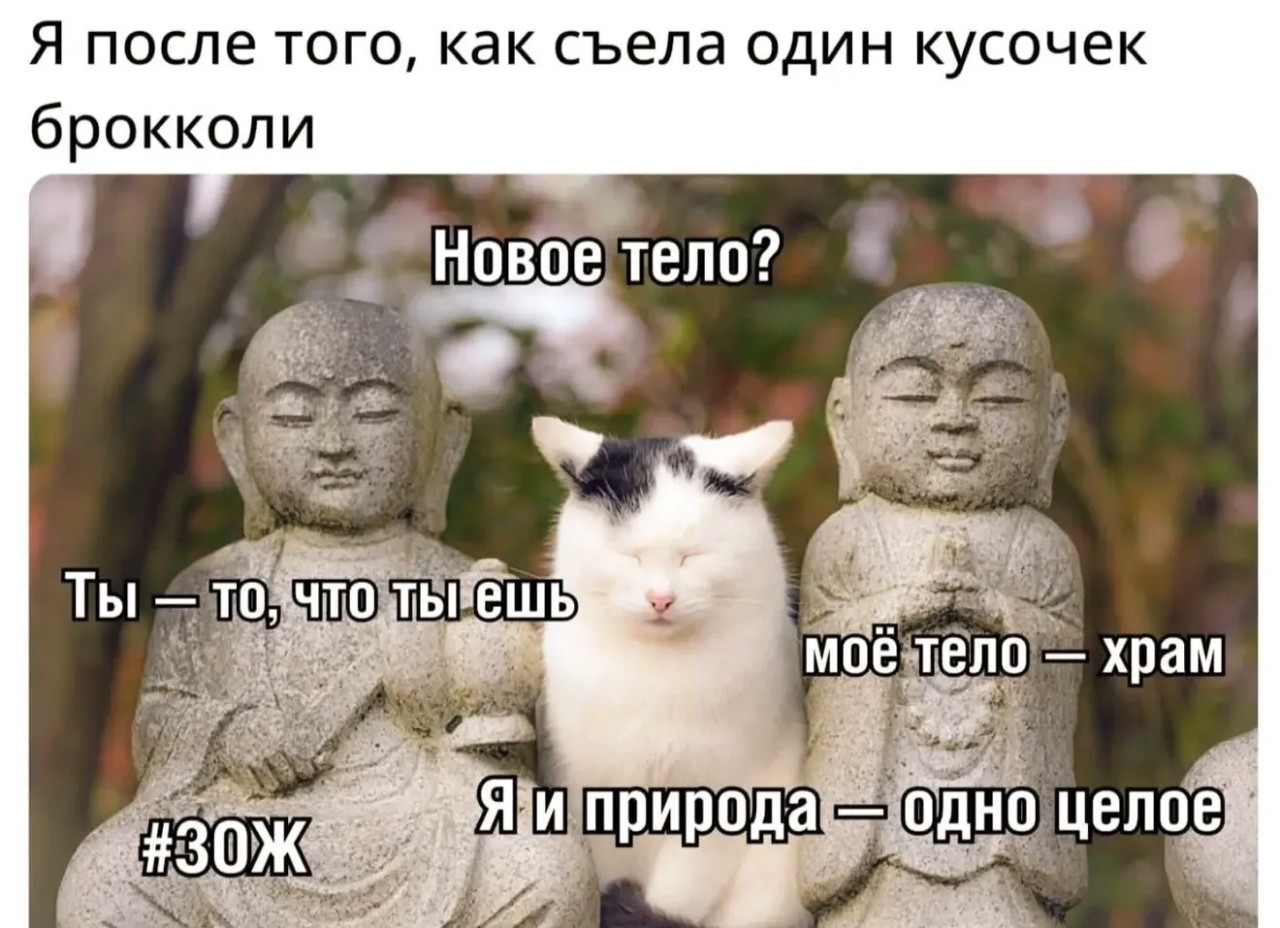 Подборка мемов