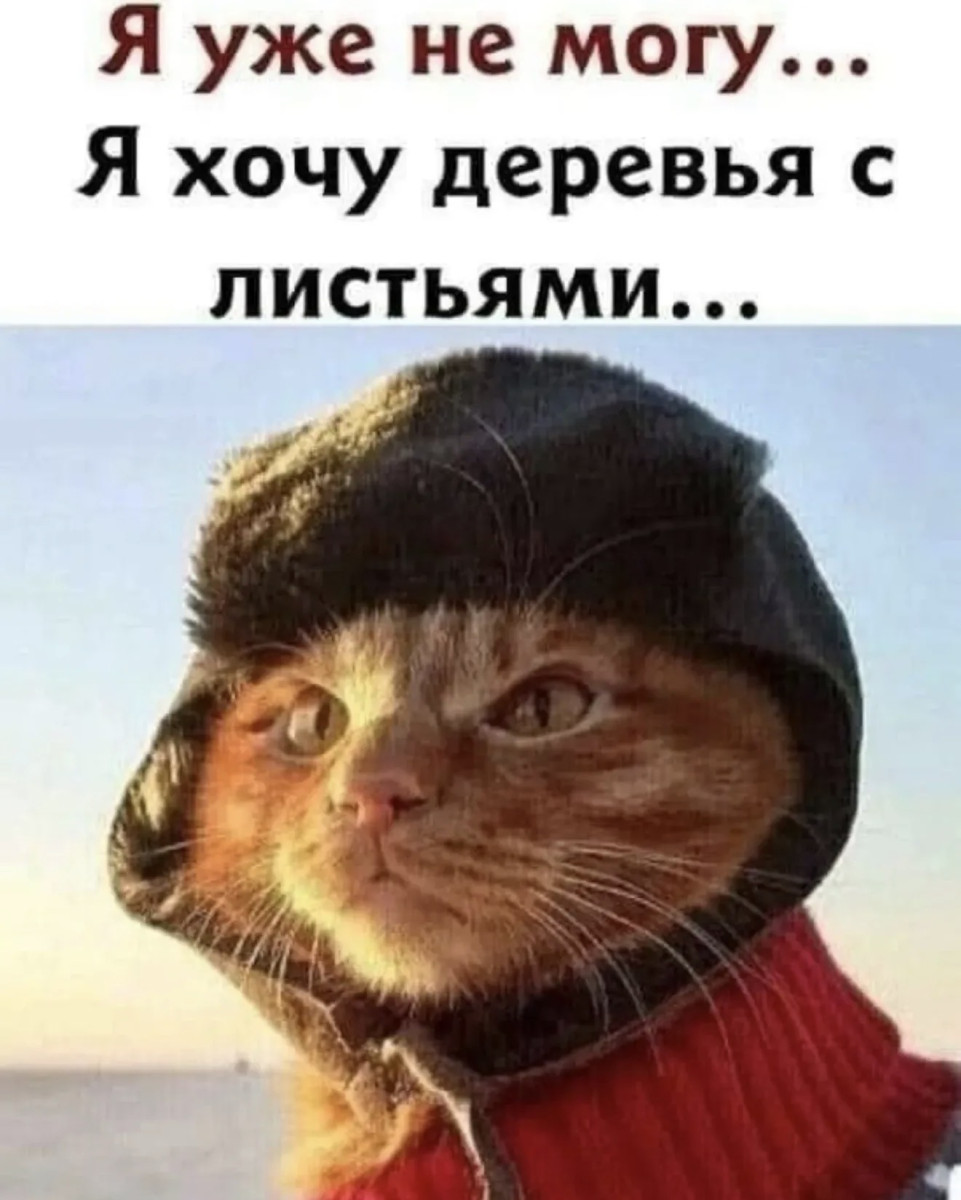 Подборка мемов