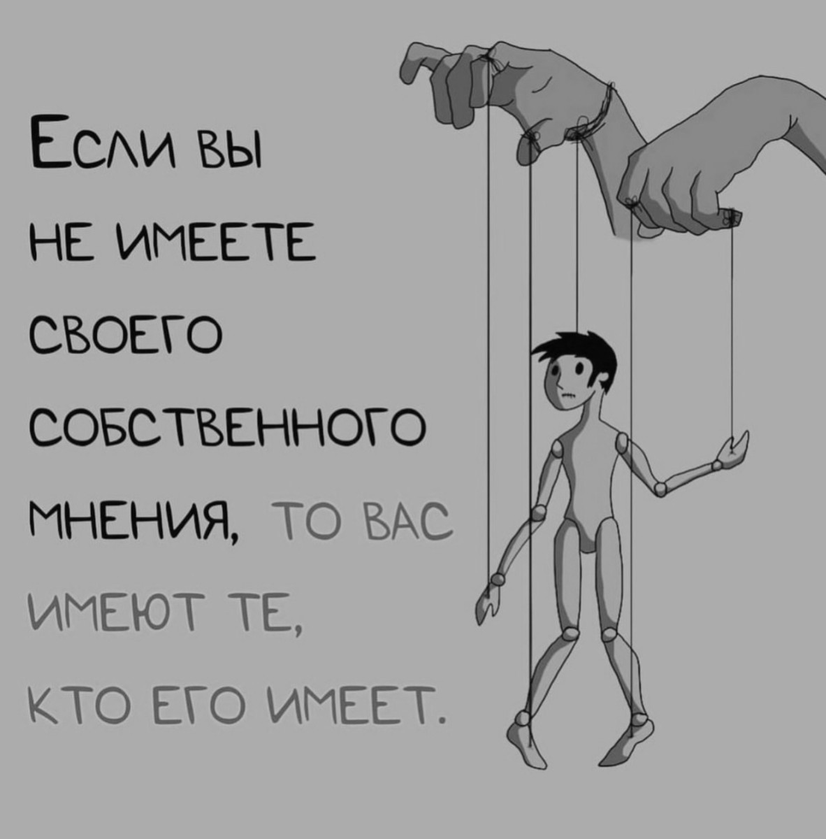 Подборка мемов