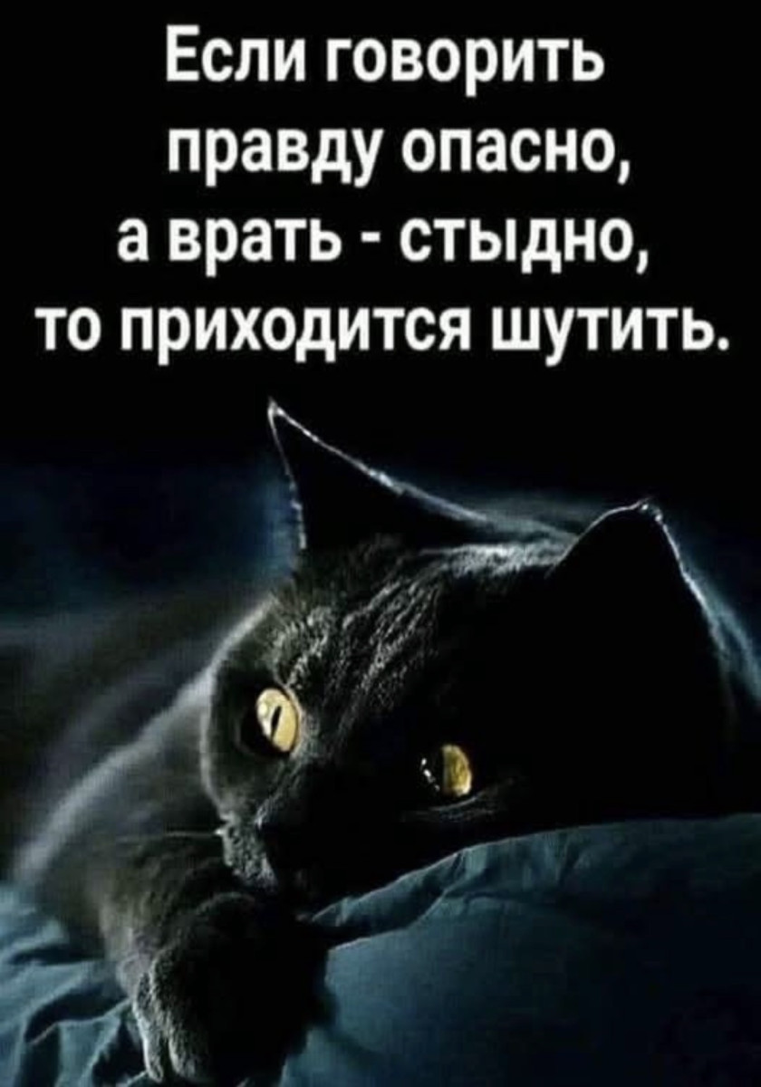 Подборка мемов