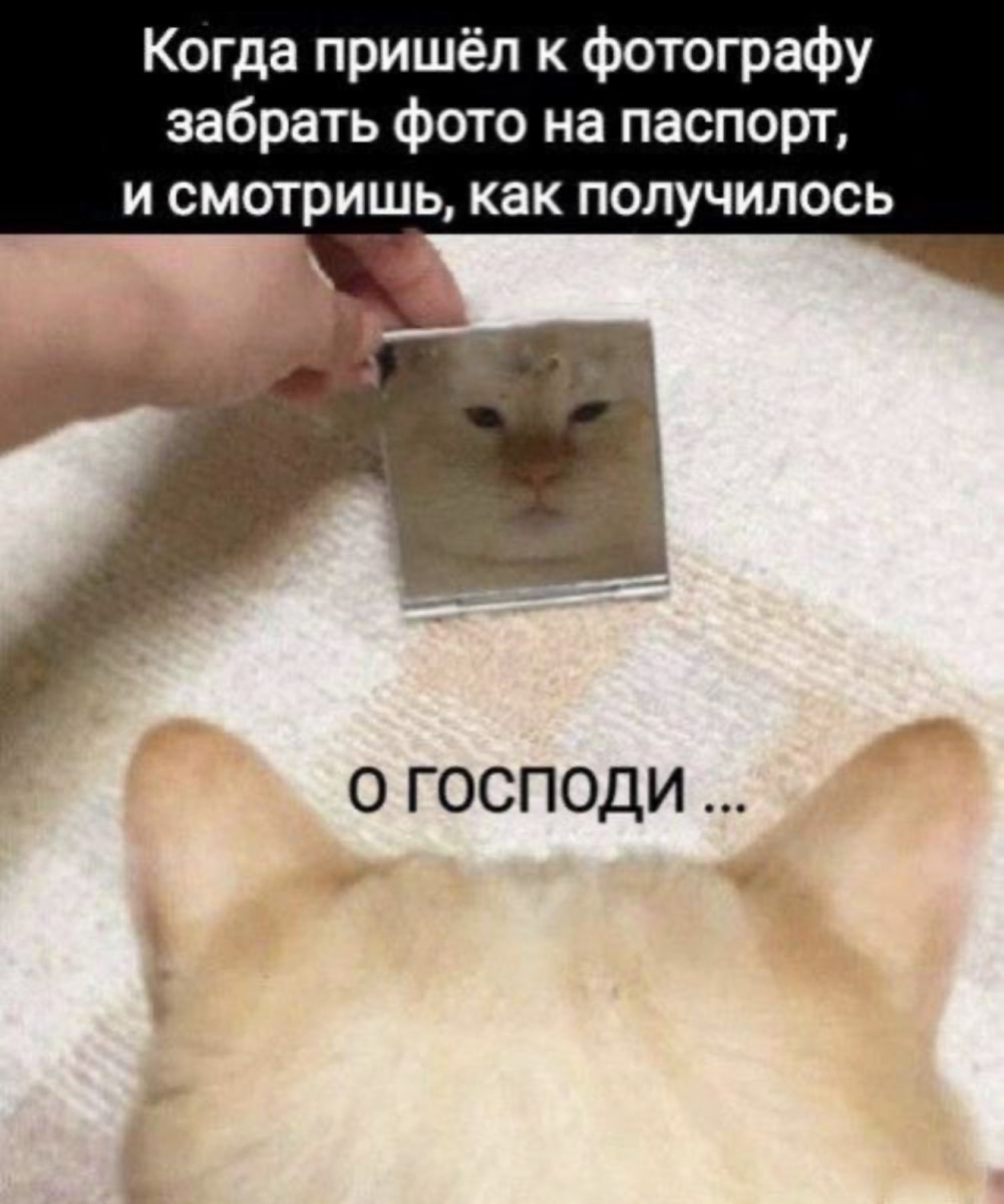 Подборка мемов