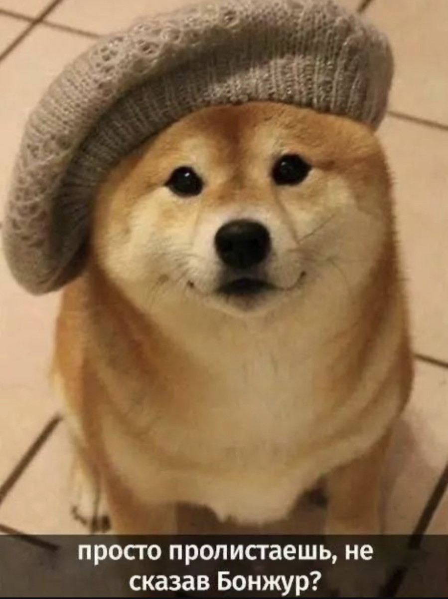 Подборка мемов