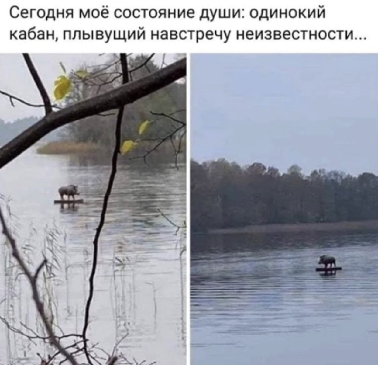 Подборка мемов