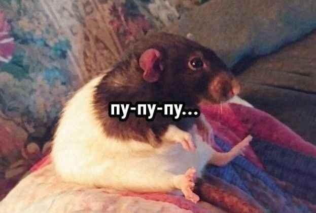 Подборка мемов