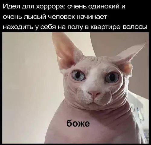 Подборка мемов