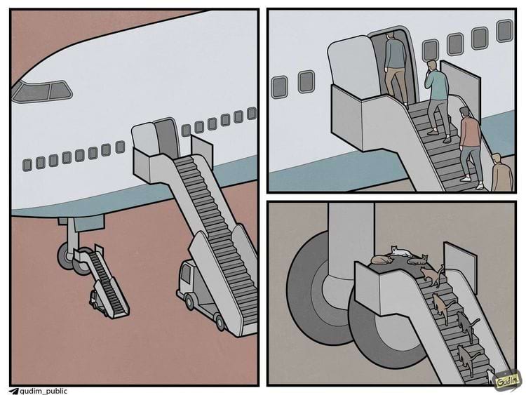 Подборка мемов