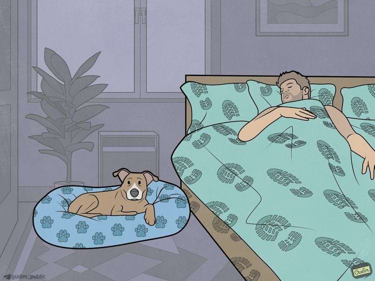 Подборка мемов