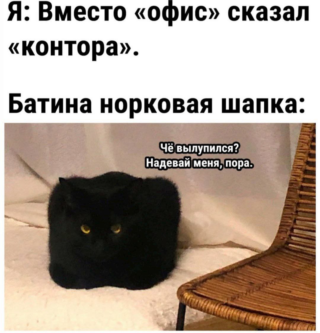 Подборка мемов