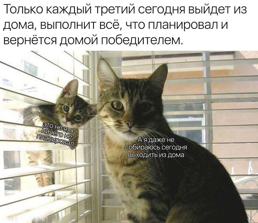 Подборка мемов