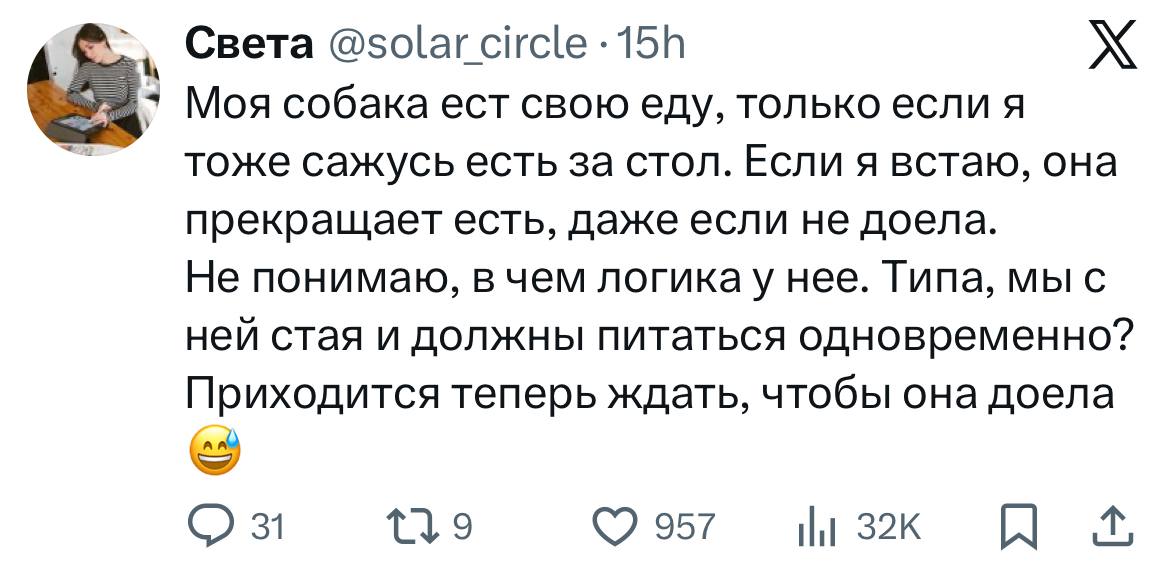 Подборка мемов