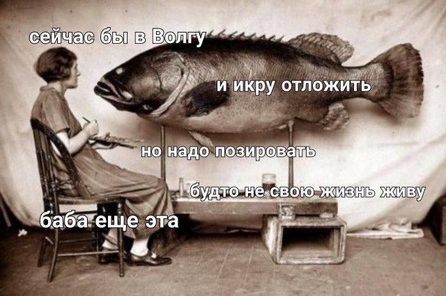 Подборка мемов