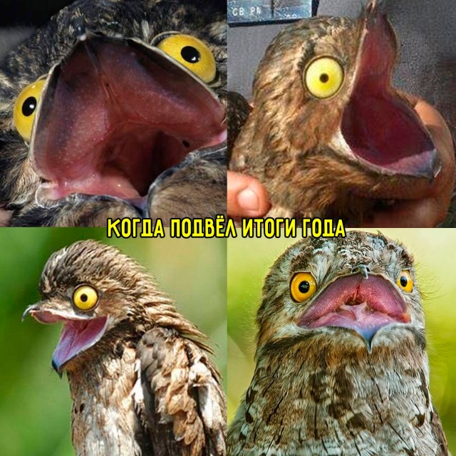 Подборка мемов