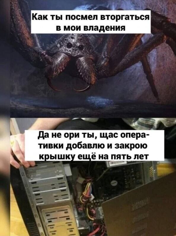 Подборка мемов