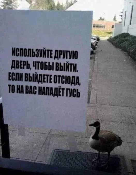 Подборка мемов