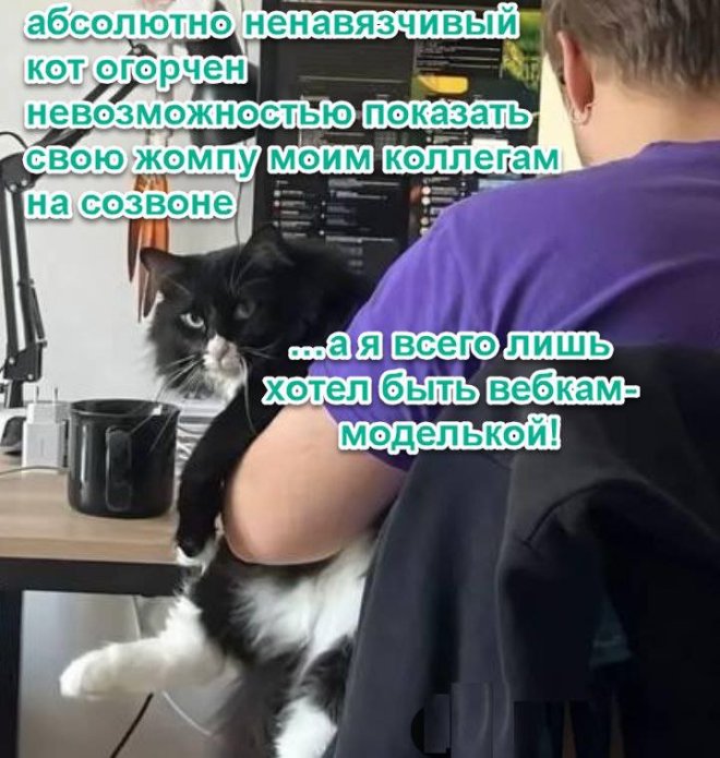 Подборка мемов