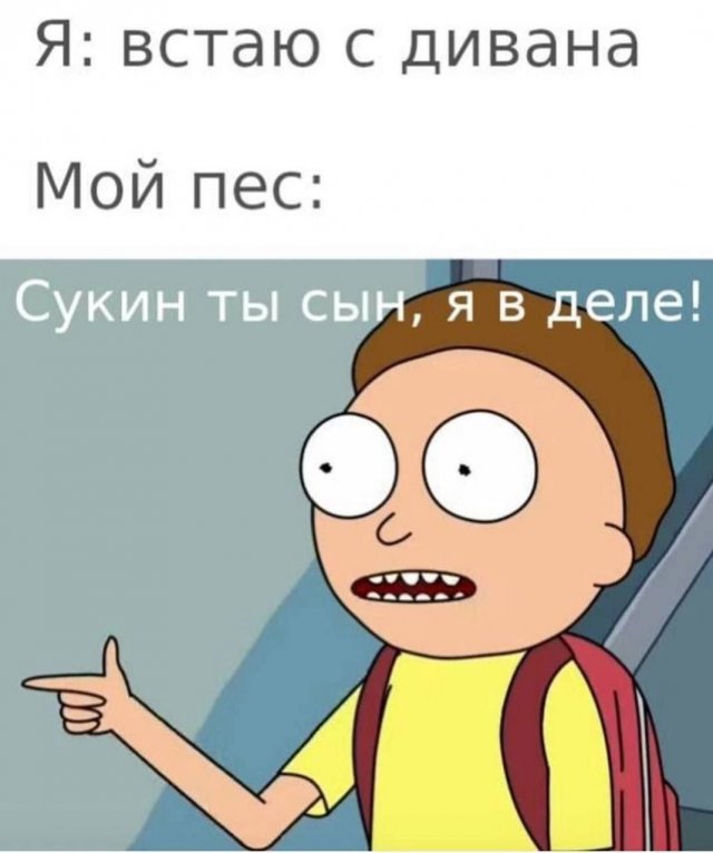 Подборка мемов