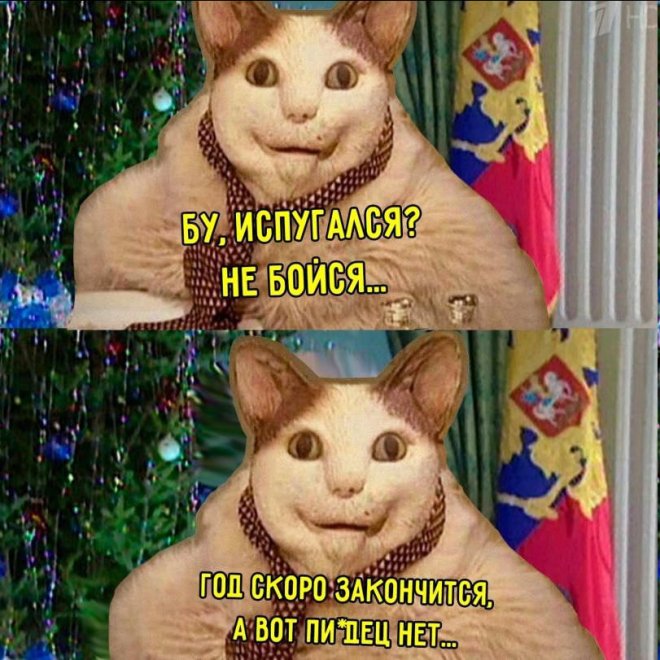 Подборка мемов