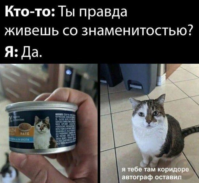 Подборка мемов