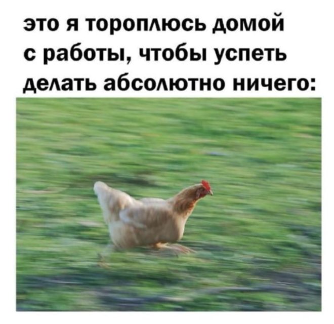 Подборка мемов