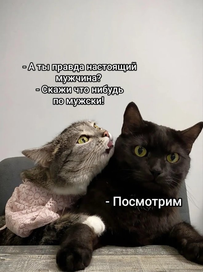 Подборка мемов