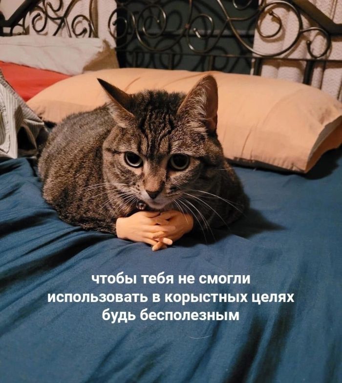 Подборка мемов