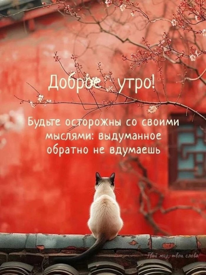 Подборка мемов