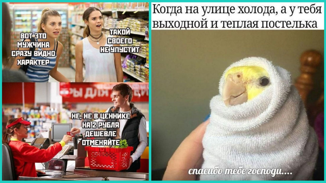 Подборка мемов