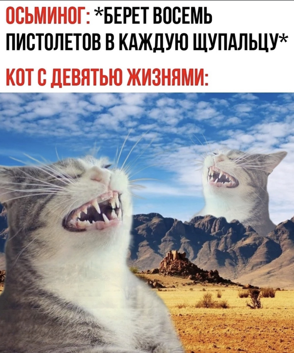 Подборка мемов