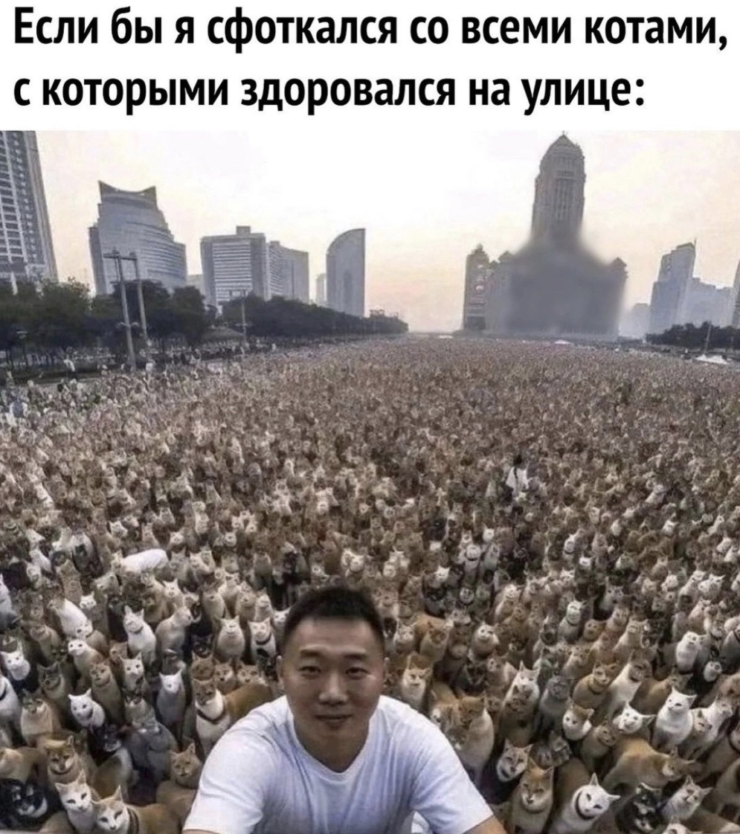 Подборка мемов