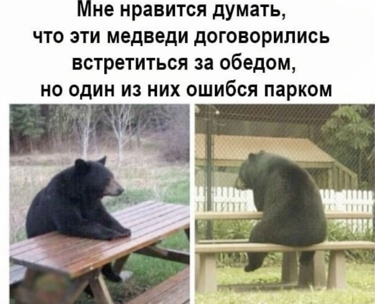 Подборка мемов