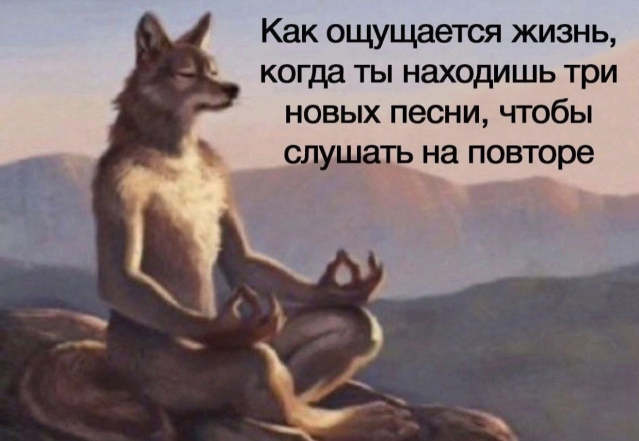 Подборка мемов