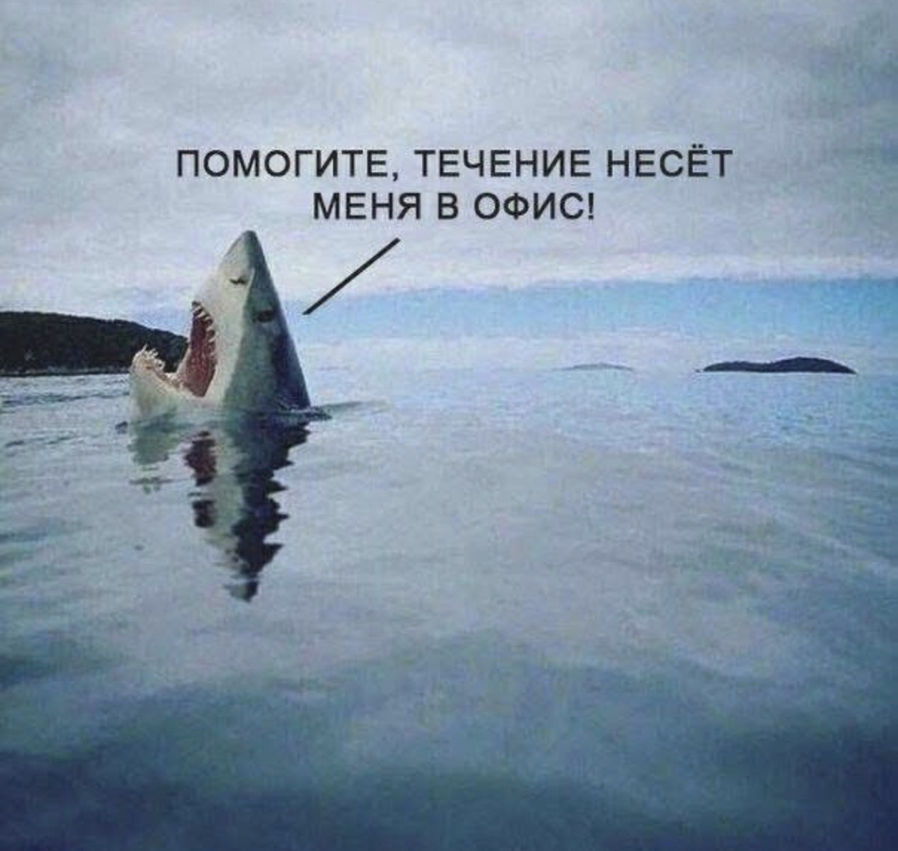 Подборка мемов