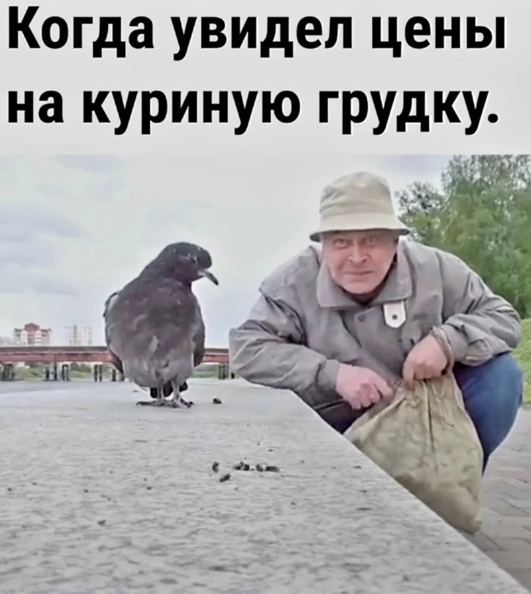 Подборка мемов