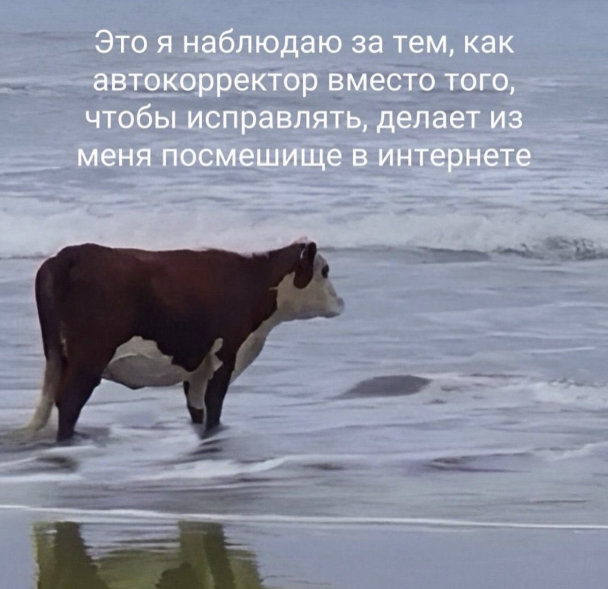 Подборка мемов