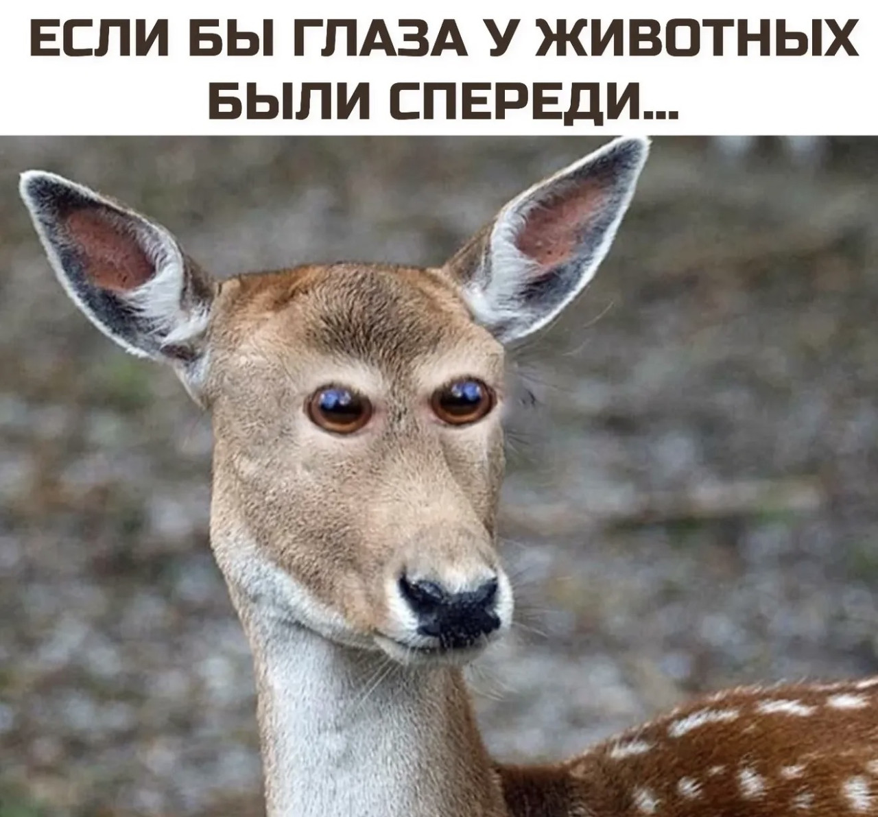 Подборка мемов