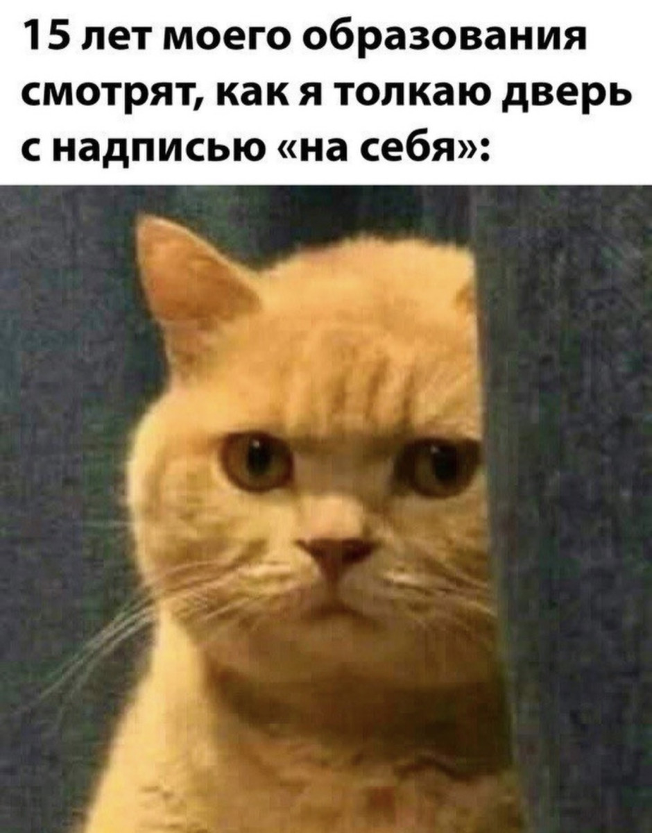 Подборка мемов