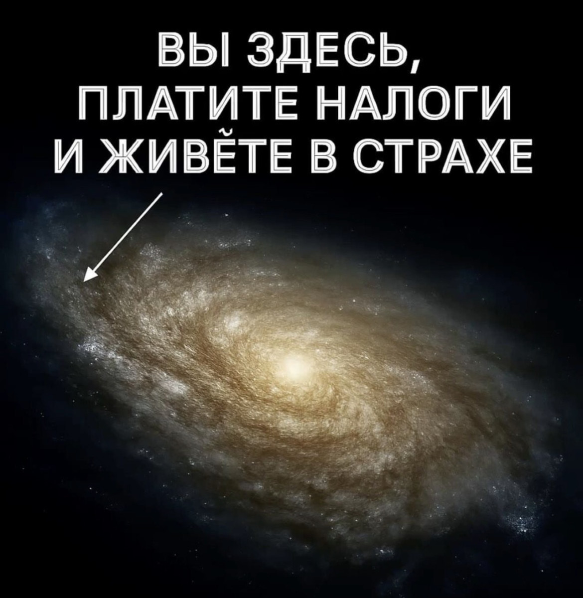 Подборка мемов